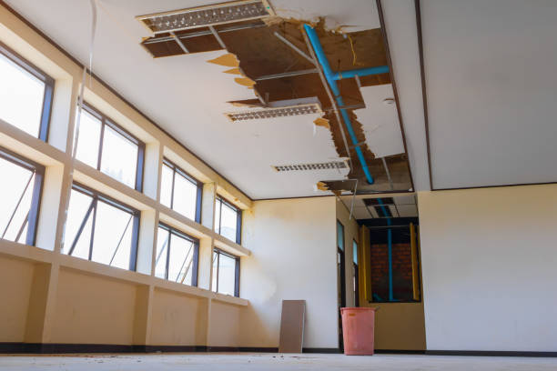 Best Local water damage restoration  in East Lake, FL