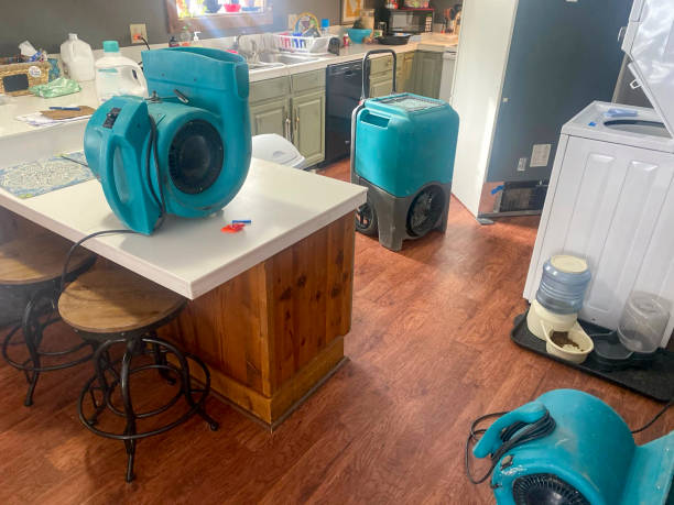Best Water damage restoration cost  in East Lake, FL