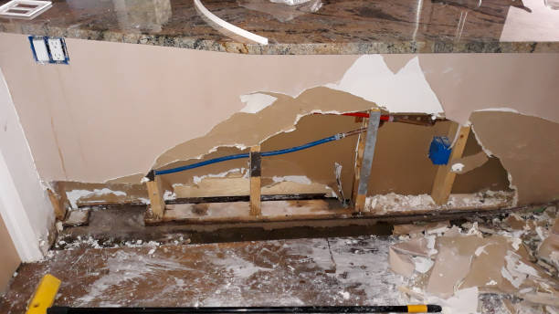 Best Water damage mitigation services  in East Lake, FL
