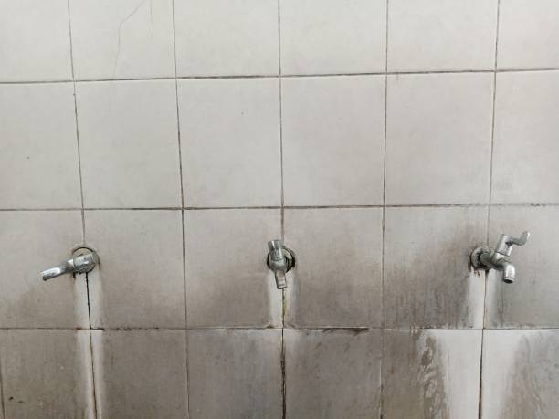 Best Water damage restoration near me  in East Lake, FL