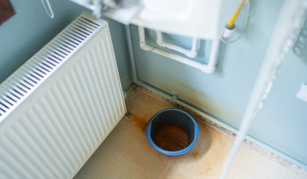 Best Sewage cleanup and water damage restoration  in East Lake, FL