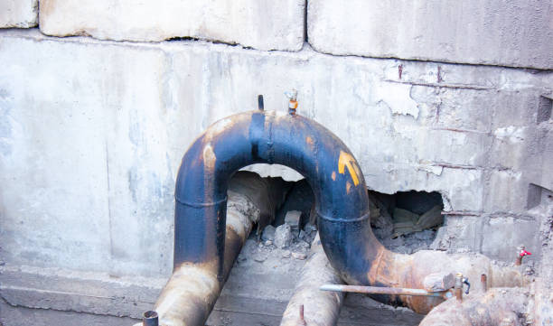 Best Mold removal after water damage  in East Lake, FL
