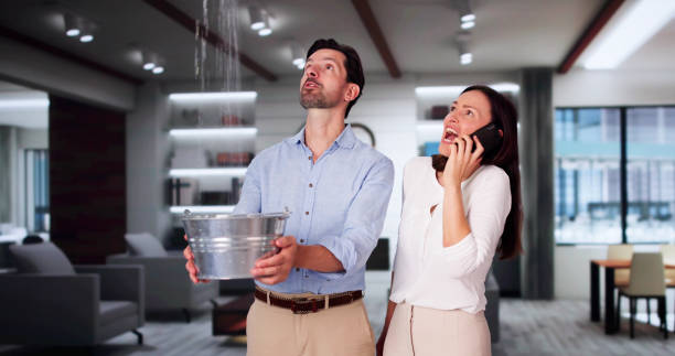 Water damage restoration mold remediation in FL